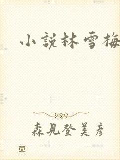 小说林雪梅
