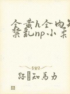 全黄h全肉短篇禁乱np小柔