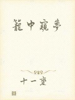 笼中窥梦