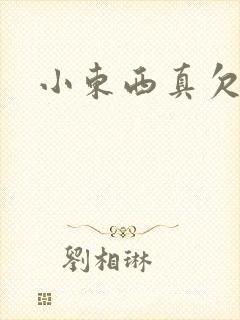 小东西真欠弄封面