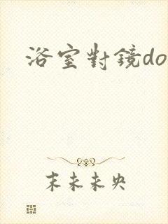 浴室对镜doi封面
