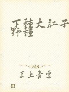 下种大肚子怀孕野种