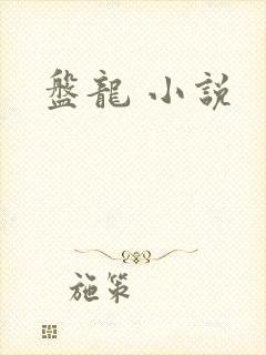 盘龙 小说