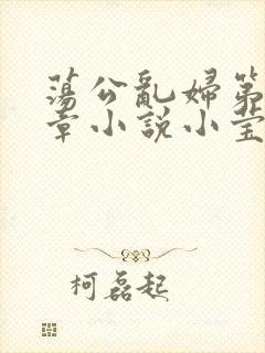 荡公乱妇第51章小说小莹封面