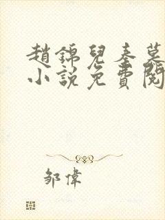 赵锦儿秦慕修的小说免费阅读全文封面