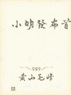 小明发布首页