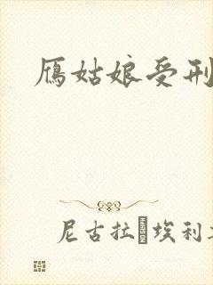 雁姑娘受刑记封面