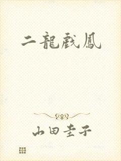 二龙戏凤