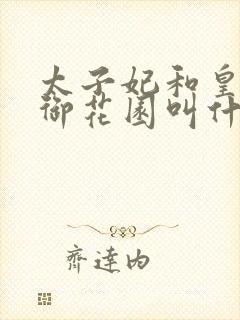 太子妃和皇帝在御花园叫什么小说
