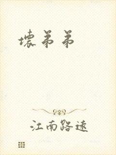 坏弟弟封面