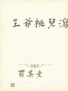 王爷桃儿泻了封面