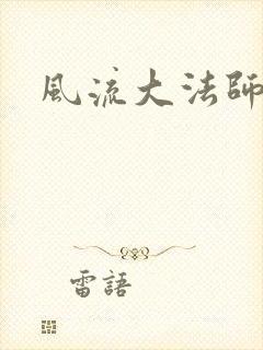 风流大法师封面