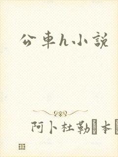 公车h小说