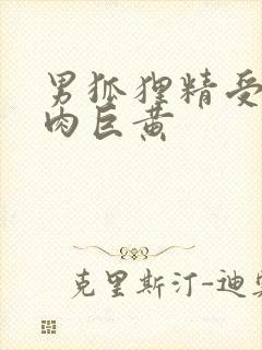 男狐狸精受h纯肉巨黄封面