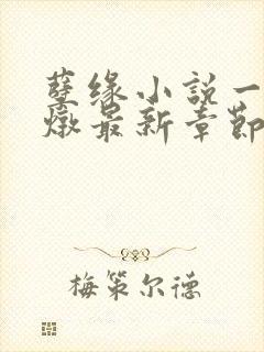 孽缘小说一家乱炖最新章节阅读封面