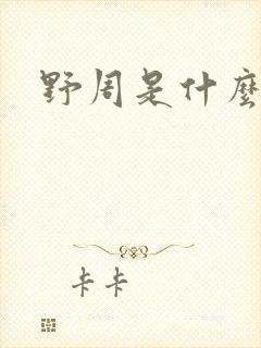 野周是什么意思