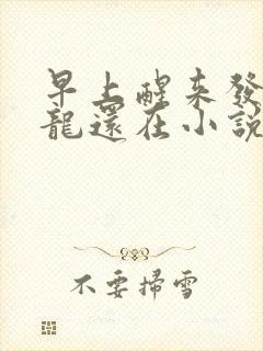 早上醒来发现巨龙还在小说