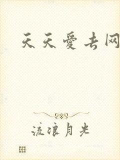 天天爱去网