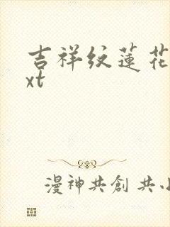 吉祥纹莲花楼txt封面