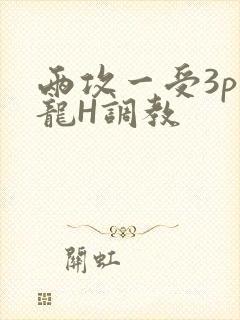 两攻一受3p双龙H调教