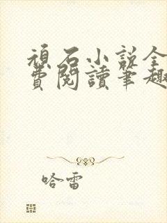 顽石小说全文免费阅读笔趣阁