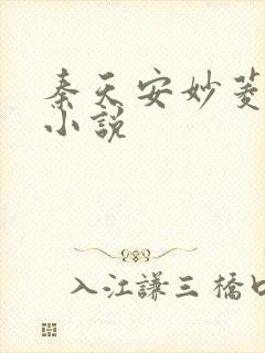 秦天安妙菱修仙小说