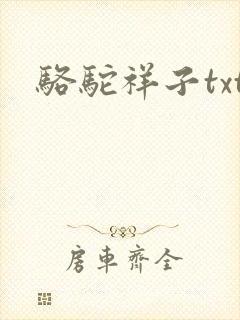 骆驼祥子txt