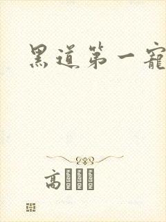 黑道第一宠婚