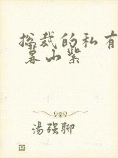 总裁的私有宝贝 暮山紫