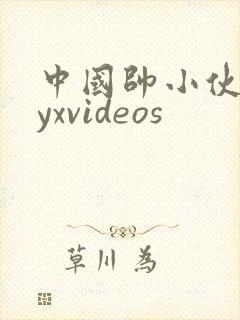 中国帅小伙gayxvideos封面