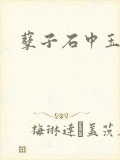 孽子石中玉