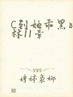 C到她乖黑暗森林11章封面