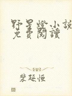 野星灯小说全文免费阅读