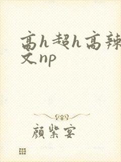 高h超h高辣h文np封面