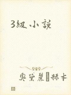 3级小说