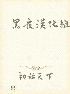 黑夜汉化组