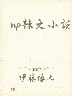 np辣文小说封面