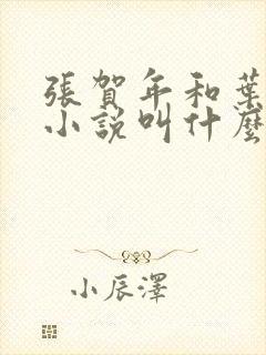 张贺年和叶繁姿小说叫什么名字