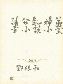 荡公乱妇第51章小说小莹封面
