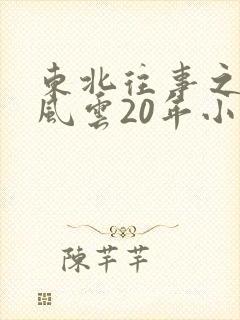 东北往事之黑道风云20年小说封面