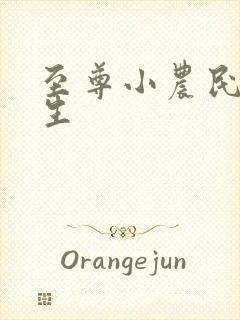 至尊小农民王木生
