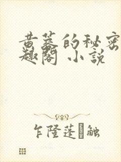 黄蓉的秘密 笔趣阁 小说