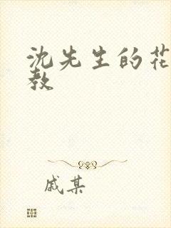 沈先生的花式调教封面
