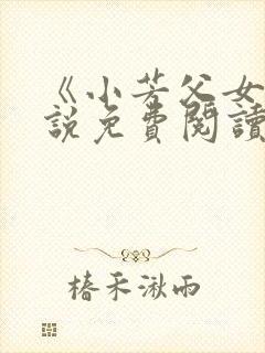《小芳父女》小说免费阅读封面