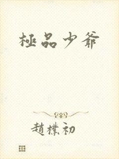 极品少爷
