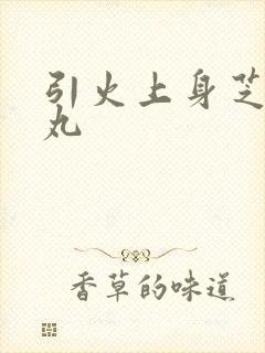 引火上身芝麻糖丸封面