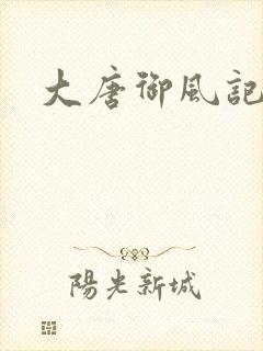 大唐御风记