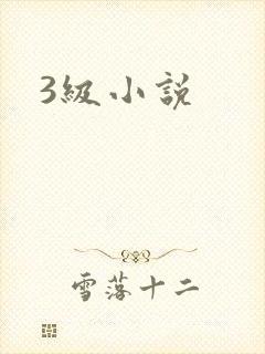 3级小说