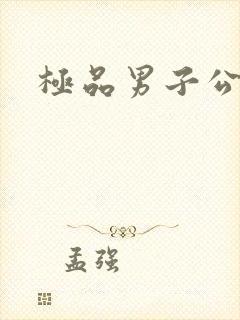 极品男子公寓封面