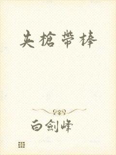 夹枪带棒封面